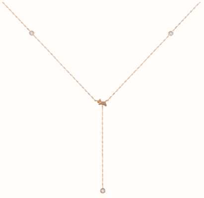 Radley Jewellery Drop Detail Necklace | Rose Gold Plated | Crystal Set RYJ2394S