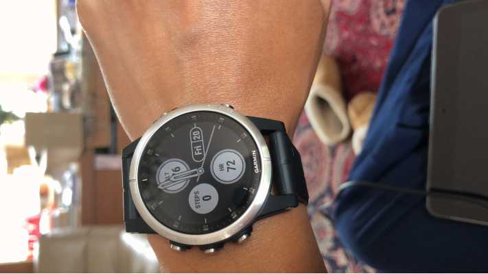 garmin fenix 5s plus silver