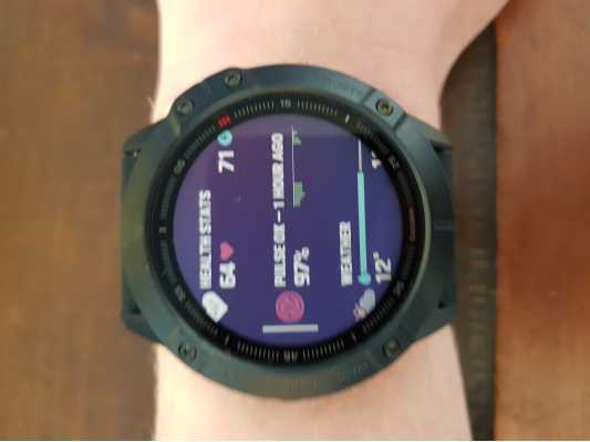 garmin fenix 6x pro gorilla glass